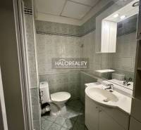 Badezimmer mit Dusche, Waschbecken und Toilette in einer Einzimmerwohnung.