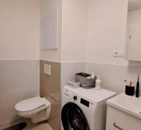 Badezimmer in einer 2-Zimmer-Wohnung mit Waschmaschine, Waschbecken und Toilette.