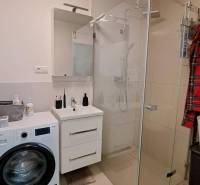 Badezimmer mit Waschmaschine, Duschkabine und Waschbecken in einer 2-Zimmer-Wohnung.