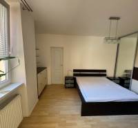 Schlafzimmer in einer Zweizimmerwohnung mit Bett, Schrank und großem Fenster mit Pflanze.