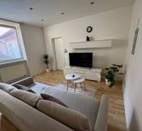 Wohnzimmer in einer Zweizimmerwohnung mit Sofa, Fernseher und Pflanzen auf Parkettboden.