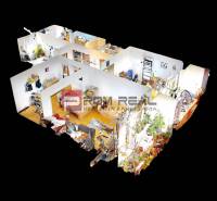 3-Zimmer-Wohnung mit Möbeln und Pflanzen, im Innenraum geordneter Raum.