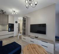 Wohnzimmer in einer 2-Zimmer-Wohnung mit Küchenzeile, Sofa und Wandfernseher.