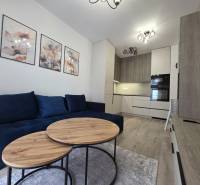 Wohnzimmer und Küche in einer 2-Zimmer-Wohnung mit einem blauen Sofa und Holztischen.