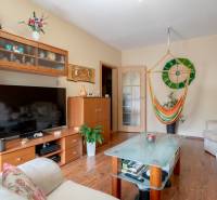 Wohnzimmer in einer 3-Zimmer-Wohnung mit einem bequemen Sofa, Fernseher und einem Hängesessel.