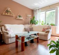 Helles Wohnzimmer in einer 3-Zimmer-Wohnung mit Blumendekoration und bequemer Couch.