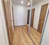 Holzboden und Spiegelschrank im Flur einer 2-Zimmer-Wohnung.