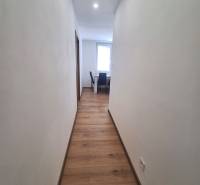 Flur in einer 2-Zimmer-Wohnung mit Holzboden und Deckenleuchten.