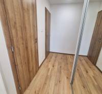 Der Flur in der 2-Zimmer-Wohnung mit Holzboden und einem Spiegelschrank.