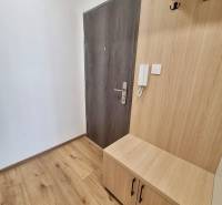 Eingangsflur mit Eingangstür und Holzmöbeln in einer 2-Zimmer-Wohnung.