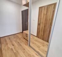 Eingangshalle in einer 2-Zimmer-Wohnung mit Holzböden und einem Spiegelschrank.