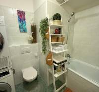Badezimmer mit Waschmaschine, Badewanne und Dekorationen in einer 2-Zimmer-Wohnung.
