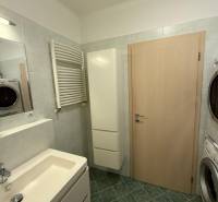 Badezimmer in einer 2-Zimmer-Wohnung mit Waschbecken, Waschmaschine und grünem Boden.