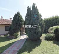 Der Garten des Einfamilienhauses in Cabaj-Čápor mit gepflegtem Rasen und Zierbäumen.