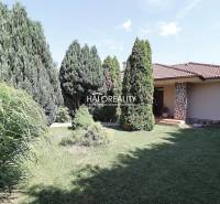 Ein Einfamilienhaus in Cabaj - Čápor mit einem gepflegten Garten voller Bäume und Rasen.