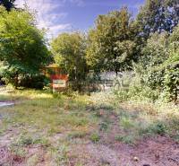 Der Garten beim Einfamilienhaus in der Hurbanova-Straße in Ivanka pri Dunaji, umgeben von Bäumen und Sträuchern.