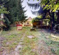 Der Garten des Einfamilienhauses in der Hurbanova-Straße in Ivanka pri Dunaji, umgeben von Bäumen.