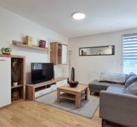 Wohnzimmer in einer 4-Zimmer-Wohnung mit einem bequemen Sofa und Holzmöbeln.