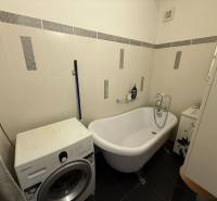 Badezimmer in einer 2-Zimmer-Wohnung mit freistehender Badewanne und Waschmaschine.