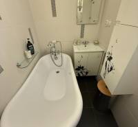 Badewanne im Badezimmer mit Duscharmatur und Waschbecken in einer 2-Zimmer-Wohnung.