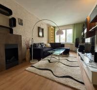 Wohnzimmer in einer 2-Zimmer-Wohnung mit Sofa, Kamin und Fernseher.