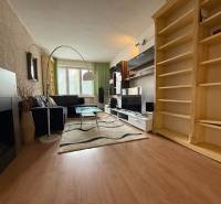 Wohnzimmer einer Zweizimmerwohnung mit schwarzem Sofa, Teppich und Holzregalen.