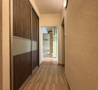 Flur mit Holzboden und Einbauschrank in einer 2-Zimmer-Wohnung.