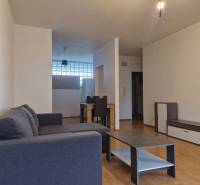 Wohnzimmer in einer 2-Zimmer-Wohnung mit einem dunkelgrauen Sofa und einem Holztisch.