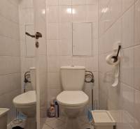 Toilette in einer 2-Zimmer-Wohnung mit weißen Fliesen, einem schwarzen Teppich und Reinigungsmitteln.