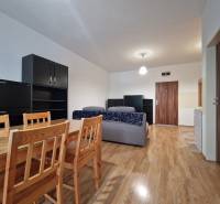 Innenraum einer Einzimmerwohnung mit Holztisch, Sofa und Schränken.