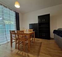 Esstisch mit Stühlen, Schränken und Sofa in einer Einzimmerwohnung.