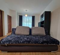 Wohnbereich, Sofa, Kissen, dunkle Möbel, Vorhänge, heller Boden, Einzimmerwohnung.