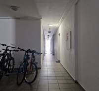 Der Flur mit Fahrrädern im Gebäude in der Tehelna-Straße in Pezinok.