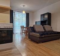 Einzimmerwohnung mit Sofa, Tisch und Herd im offenen Wohnbereich.