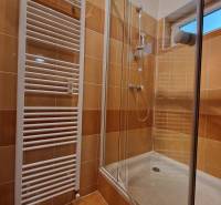 Duschkabine im Badezimmer einer Einzimmerwohnung mit Fliesen und Heizkörper.