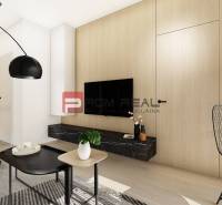 Helles Wohnzimmer in einer 2-Zimmer-Wohnung mit Holzwänden und schwarzen Accessoires.