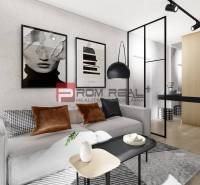Wohnzimmer einer Zweizimmerwohnung mit Sofa, modernen Postern und Holzboden.