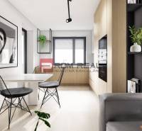 Essbereich, 2-Zimmer-Wohnung; schwarz-weiße Dekoration, Pflanze, moderne Möbel, helles Holz.