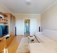 Wohnzimmer in einer 3-Zimmer-Wohnung mit Holzmöbeln und einem bequemen Sofa.