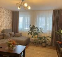 Wohnzimmer einer Zweizimmerwohnung mit bequemer Couch, Blumen und Fernseher.