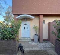 Eingang zum Haus mit weißen Türen, Pflanzen in Töpfen und einem Hund auf der Terrasse.