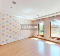 Ein Zimmer mit großen Fenstern und Blumen-Tapete in einem Einfamilienhaus.