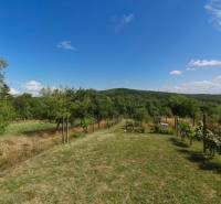 Blick auf den Garten mit Aussicht auf den Wald und blauen Himmel in Modrý Kameň, Strhárska.