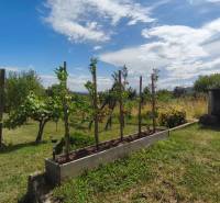 Garten mit Tomaten und Weinreben bei der Hütte in der Strhárska-Straße in Modrý Kameň.