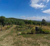 Der blühende Garten hinter dem Haus in der Strhárska-Straße in Modrý Kameň mit herrlichem Ausblick.