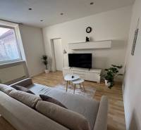 Wohnzimmer mit Sofa und Fernseher, helle Wände und Holzboden, 2-Zimmer-Wohnung.