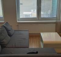 Wohnzimmer in einer 2-Zimmer-Wohnung mit dunkelgrauem Sofa und Fernseher.