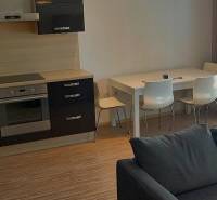Küche und Wohnzimmer in einer 2-Zimmer-Wohnung mit moderner Küchenzeile und Esstisch.
