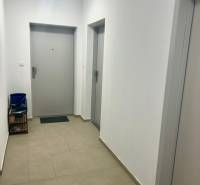 Flur in einer 3-Zimmer-Wohnung mit Türen und Beleuchtung, Fliesen auf dem Boden.