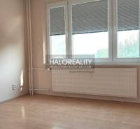 Ein Zimmer in einer 4-Zimmer-Wohnung mit Holzboden und großem Fenster.